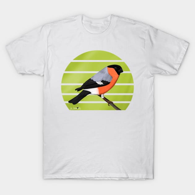 jz.birds Bullfinch Bird Watching Birding Design T-Shirt by jzbirds